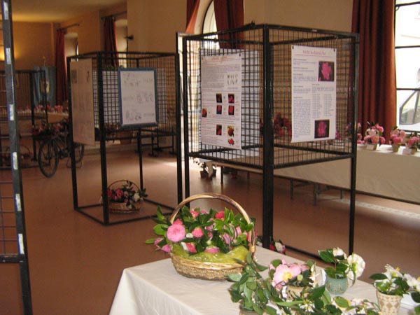 Angera mostra 2008